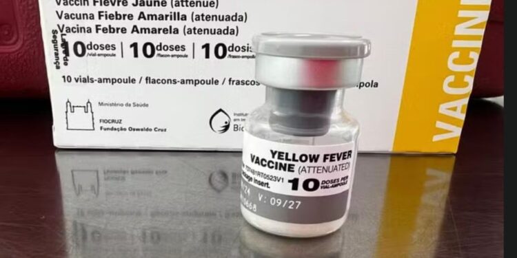 Caso de febre amarela em macaco faz São Paulo reforçar vacinação no ABC