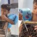 Menino de 4 anos toma mel direto da colmeia e viraliza: 'é o pet dele', diz pai