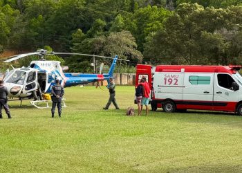 Criança de dois anos é atacada por cães e levada para hospital de helicóptero, no ES